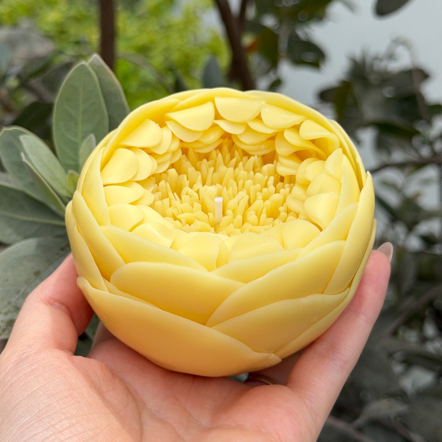 Butter Yellow Peony Candle