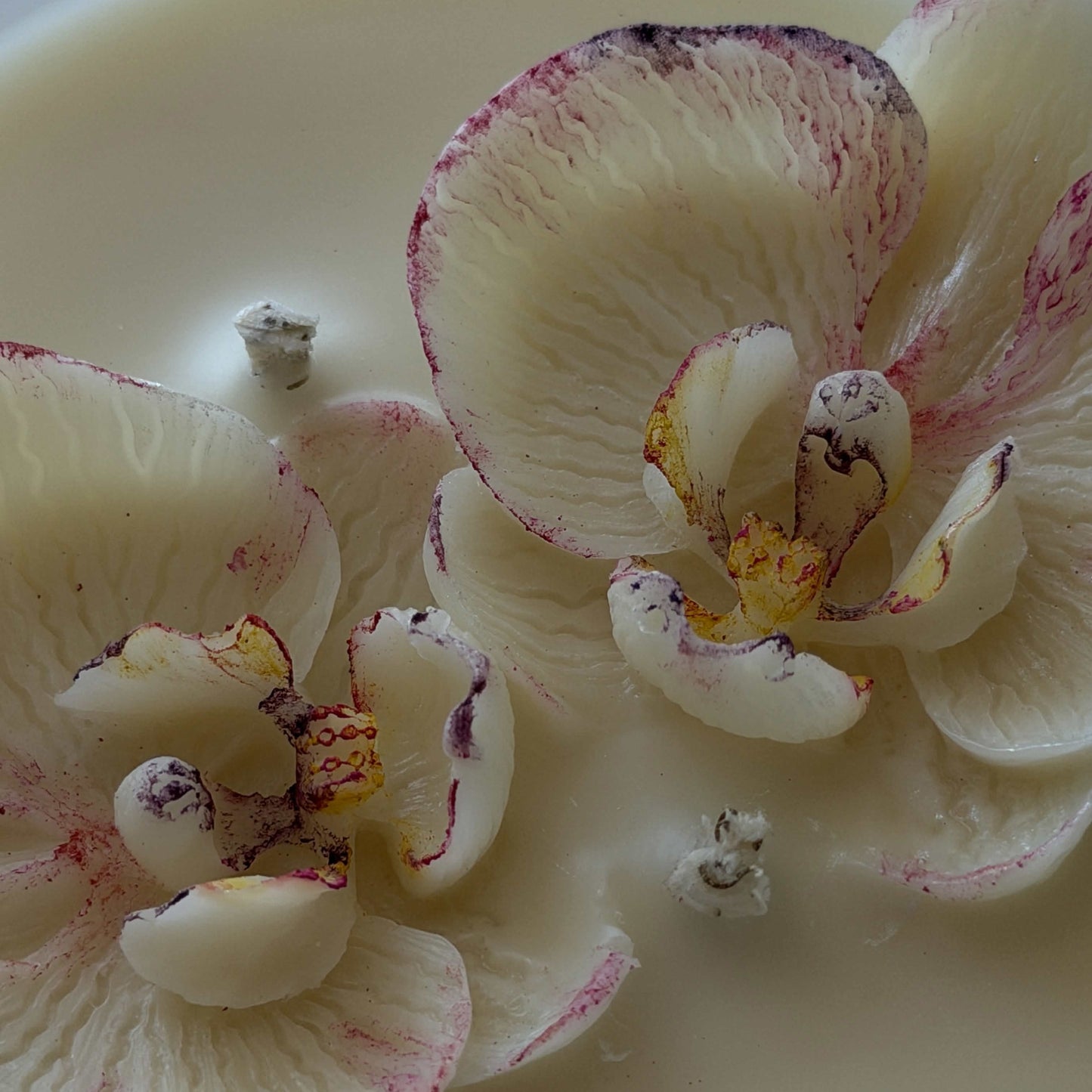 Orchid Beeswax Candle